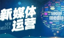 2024下半年有什么冷门又暴利的行业？2024年冷门暴利项目