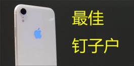 DeepSeek总结的钉子户iPhone排名