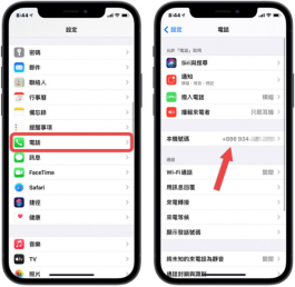 在iPhone上如何查询自己的电话号码？分享5种查询的方法