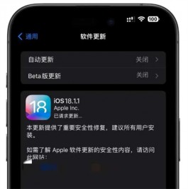 iOS 18.1.1修复两大安全漏洞，苹果建议升级